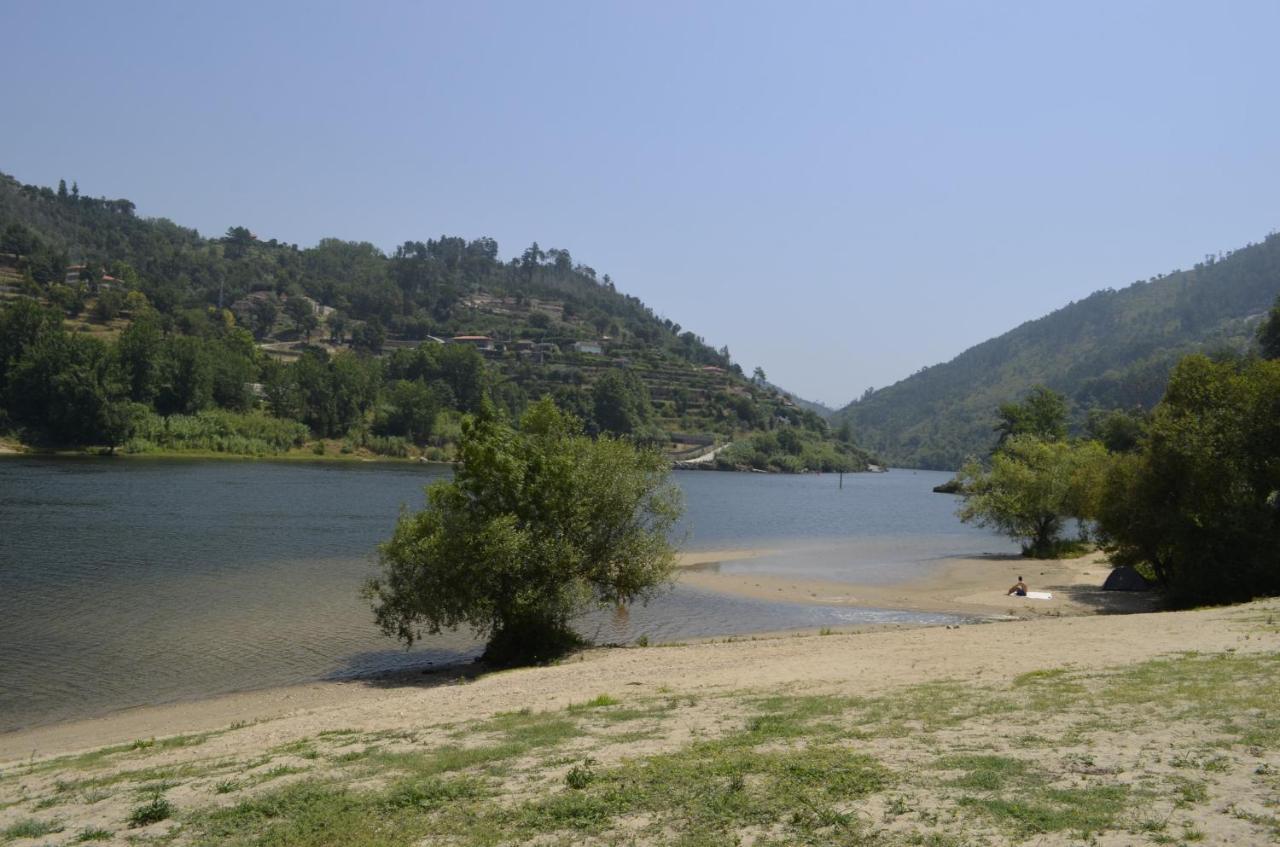 Encosta Do Douro - Rio Douro Villa Cinfães Exterior photo