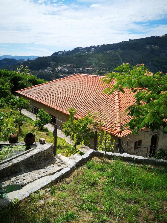 Encosta Do Douro - Rio Douro Villa Cinfães Exterior photo