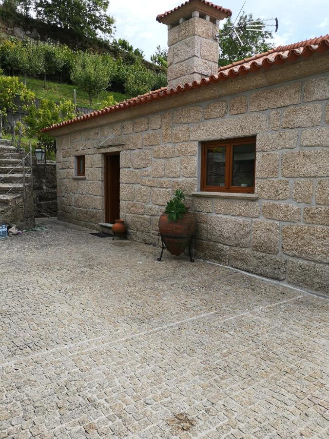 Encosta Do Douro - Rio Douro Villa Cinfães Exterior photo