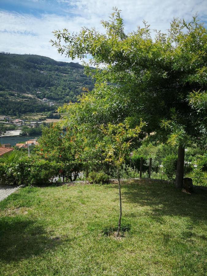 Encosta Do Douro - Rio Douro Villa Cinfães Exterior photo